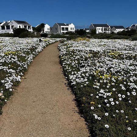 Clam Lagoon Langebaan Exterior photo