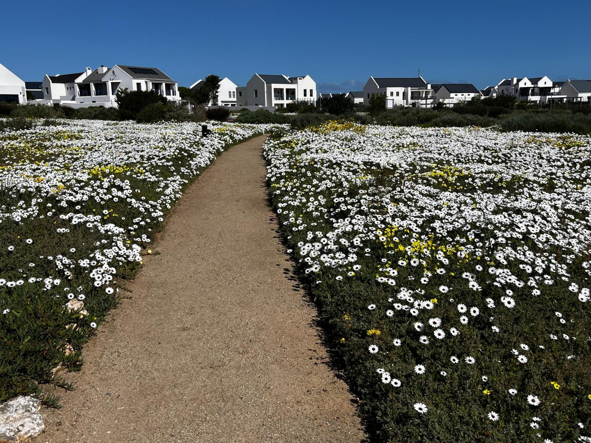 Clam Lagoon Langebaan Exterior photo